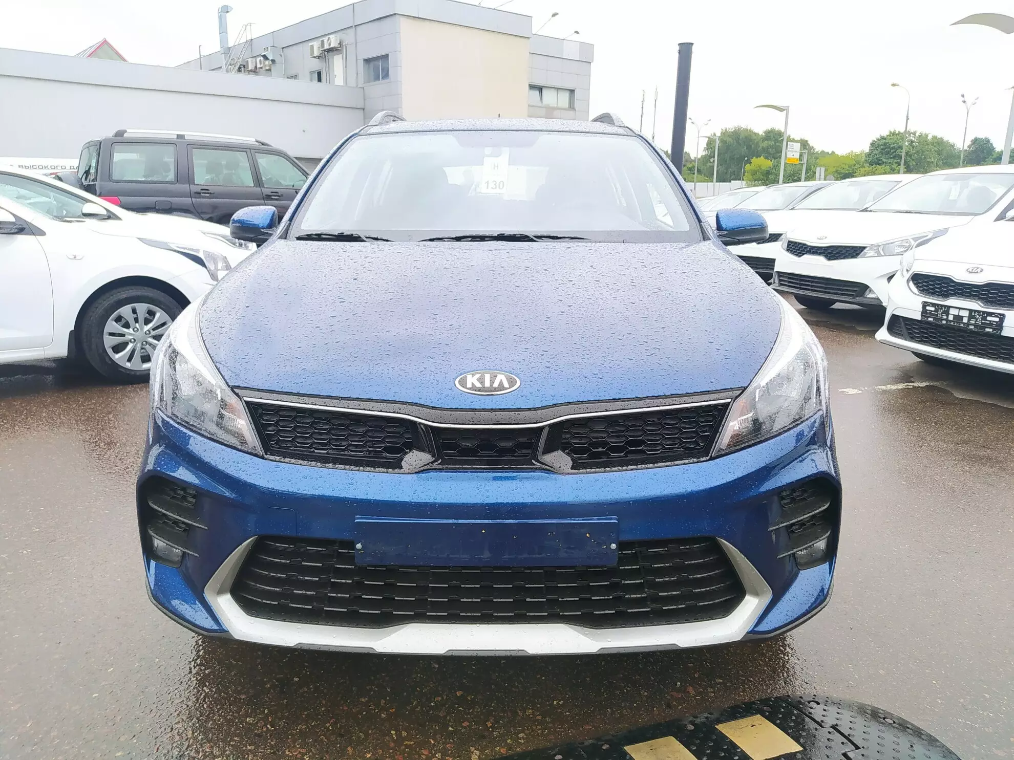 Превью KIA Rio X