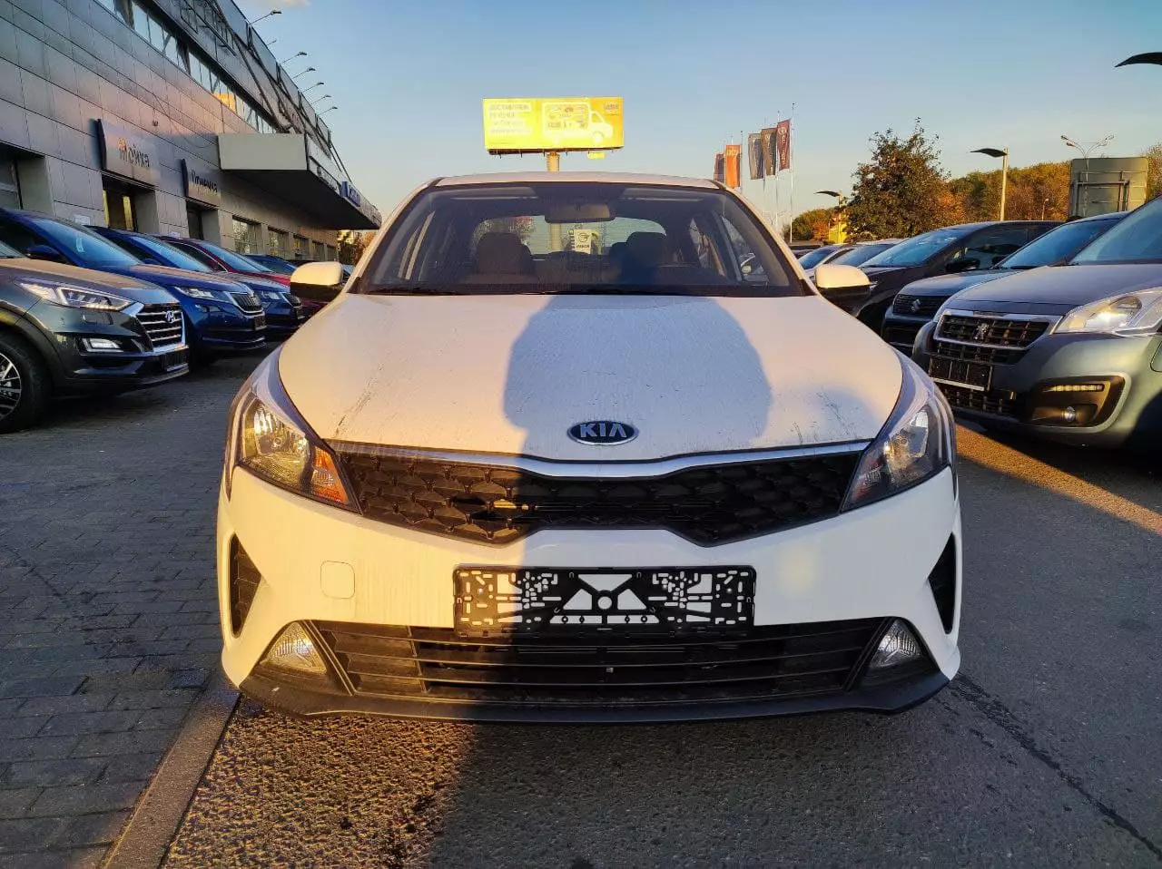 Превью KIA Rio
